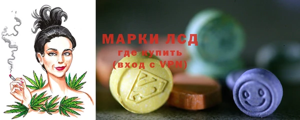 гашик Нефтекумск