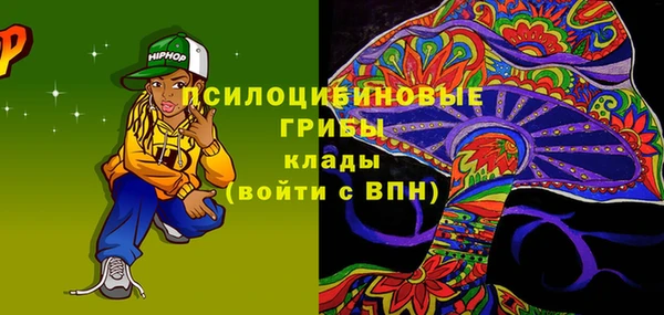 гашик Нефтекумск
