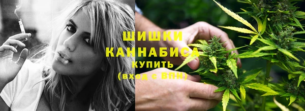 гашик Нефтекумск