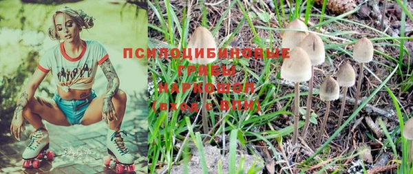 гашик Нефтекумск