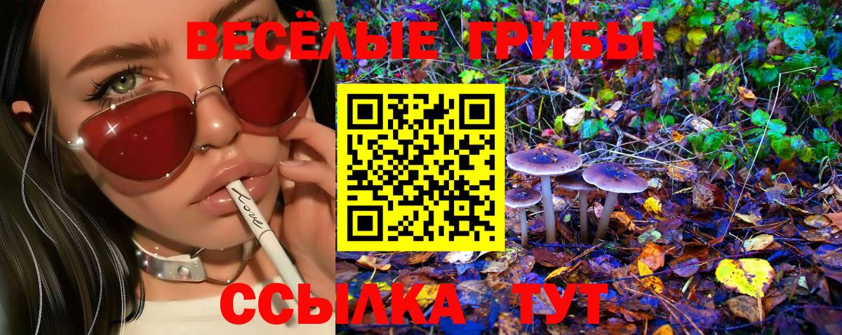 Псилоцибиновые грибы GOLDEN TEACHER  Вход с VPN  Красноуфимск 