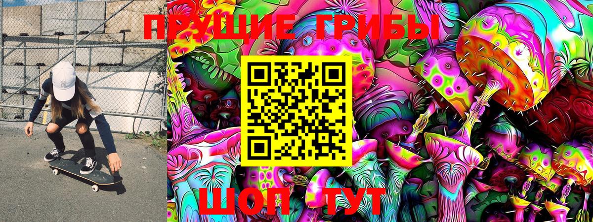 Псилоцибиновые грибы Cubensis Красноуфимск