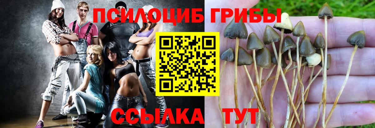 Галлюциногенные грибы Cubensis  Красноуфимск 