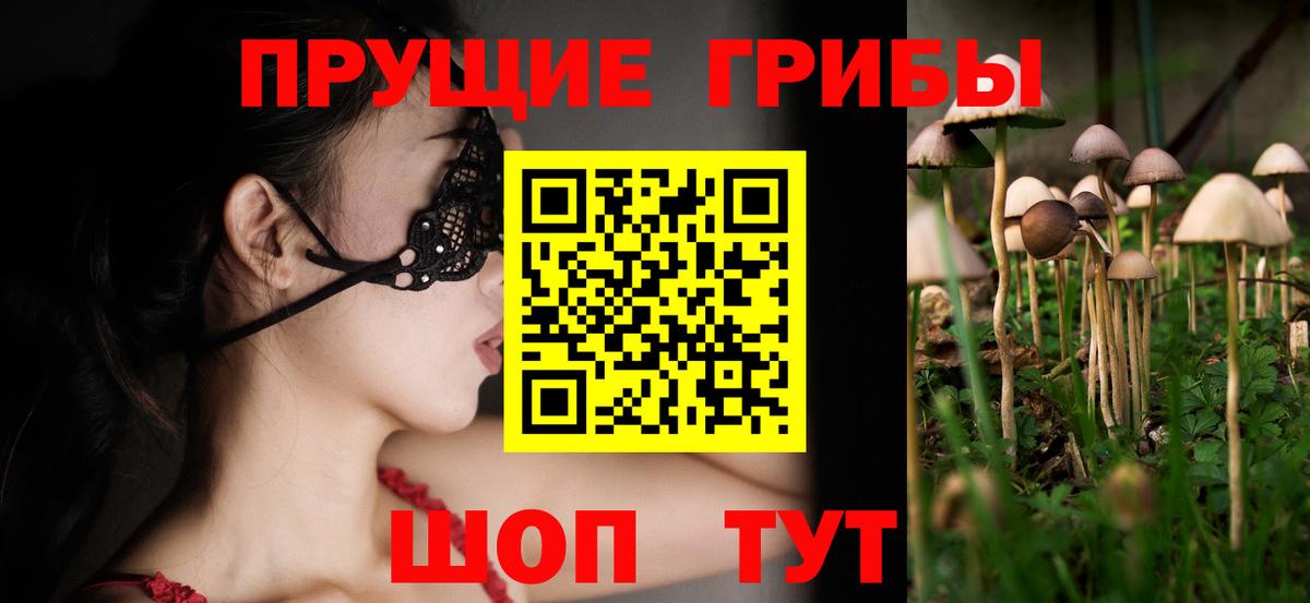 Галлюциногенные грибы Psilocybine cubensis Красноуфимск